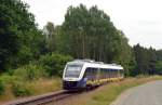 Auf der Fahrt von Soltau nach Buchholz(Nordheide) durchfährt 648 481 am 03.07.14 Suerhop und wird gleich dessen Haltepunkt erreichen.