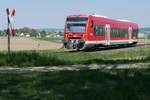 Bei Mennisweiler, kurz vor Beginn der Gefällstrecke nach Roßberg, befindet sich der in Bad Wurzach gestartet 650 319 am 06.05.2018 als RB 22897 auf der Fahrt nach Aulendorf.