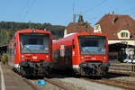 10.10.2018 Plochingen 650 025 & 650 310 - die zwei Gesichter der 650er