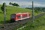 650 316 am 23.06.2021 als RB 96 / RB 17846, Memmingen - Lindau-Insel, bei Schlachters