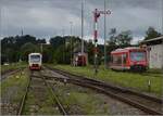 Die echte Premierenfahrt auf der Ablachtalbahn.