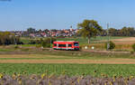 650 309	als RB 17917 (Pforzheim Hbf - Horb) bei Eutingen 26.9.23