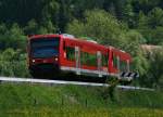 650 309-8 und 303-1 als RB 91765 (Tbingen Hbf-Horb) bei Mhlen 23.5.10