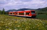 650 006 + 027  bei Dettingen  26.05.10