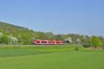 650 010 und 650 006 prsentieren sich bei strahlenden Sonnenschein auf der Ermstalbahn von Metzingen nach Bad Urach mit RB 22960.Aufgenommen bei in meinem Heimatort Dettingen/Erms am 5.5.2013.