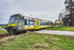 VT 650 737-9 überquert als ag 84589 (Bad Rodach - Marktredwitz), einen EK, kurz vor der Haltestelle Wiesenfeld (b Coburg).