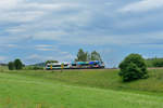 650 564 + 650 562 am 09.07.2017 bei Triefenried.