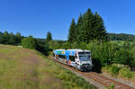 650 564 (VT 64) am 16.07.2017 bei Zwiesel.