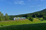 650 562 (VT 62) + 650 564 (VT 64) am 31.07.2017 bei Triefenried.