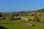 650 067 + 650 066 als WBA1 am 16.10.2017 bei Gotteszell. 