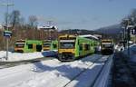 Regio-Shuttle-Treffen im Bahnhof Zwiesel am 13.02.2019: Links verlässt 650 657 den Bahnhof Zwiesel in Richtung Plattling, daneben wartet 650 659 auf die Abfahrt nach Bodenmais, in der Bildmitte