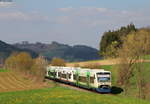 VT 015; VT 504; VT 008 und VT 013 als SWE88435 (Elzach-Freiburg(Brsg)Hbf) bei Bleibach 15.4.19