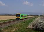 Der 650 654 als WAB nach Plattling am 15.04.2019 unterwegs bei Pankofen.