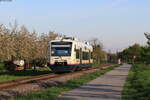 VT 520 als SWE 71706 (Achern - Ottenhöfen) bei Oberachern 21.4.22