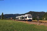 VT 515  E-Werk Mittelbaden  und VT 503 als SWE 72205 (Biberach(Baden) - Unterharmersbach) bei Zell am Harmersbach 13.7.22