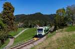 VT 019 als SWE 87548 (Unterharmersbach - Offenburg) bei Unterharmersbach 22.9.22