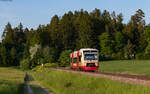 VT 243 als SWE 69756 (Rottweil - Bräunlingen Bf) bei Lauffen 29.5.23