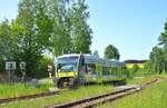 Der Haltepunkt Seulbitz an der Strecke Bamberg - Hof hat noch keine Barrierfeiheit und noch einen schönen  Rasenbahnsteig  wo es grünt und blüht und es gibt noch einen BÜ mit alten