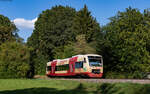 VT 241 als SWE 69748 (Rottweil - Bräunlingen Bf) bei Zollhaus 18.8.23