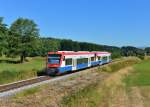 650 563 (VT 63) + 650 565 (VT 65) als RB nach Plattling am 02.08.2013 bei Gotteszell.