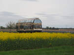 670 003 „Fürstin Louise“ der DWE passiert als DWE 27779 bei Horstdorf den Kovensteiggraben Richtung Dessau. 

Oranienbaum, der 11.04.2024