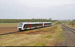 Historisches Eisenbahnwochenende Benndorf–Staßfurt    Etwas verspätet dieseln 1648 434-6 und 1648 951-9 (Alstom Coradia LINT 41) an der Fotografen-Horde am Niewandt-Schacht bei