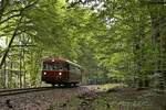 Unterhalb von Kalenborn lichtet sich der Wald etwas und so konnte hier 798 729-0 auf der Talfahrt nach Linz am 07.08.2021 aufgenommen werden