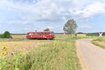 Landschaftsbahnbild mit Feldwegbü und Rotem Flitzer bei Siegelsbach am Sonntag den 15.8.2021 gen Neckarbischofheim Nord fahrend.