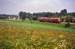 Der Frühling bot den Rahmen für eine erfreuliche Begegnung mit einem Zug aus Uerdinger Schienenbussen, unterwegs auf der Voralbbahn (DB) zwischen Göppingen und Boll.