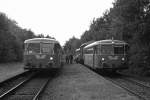  Moorexpress-Kreuzung  am 21.09.2008 in Deinste.Der linke Zug fhrt nach Bremen, der rechte nach Stade.