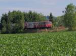 VT98 Triebwagenzug der PassauerEisenbahnFreunde tourt als SR17592 durch den Hausruckwald; 120607