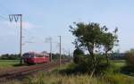 Zwei uerdinger Schienenbusse fuhren am 29.08.2012 als Sonderfahrt gen Norden, hier bei Veenhusen.