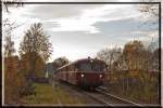 798 760, 796 309, 796 248 und 798 752 deer Eifelbahn am 05.11.2015 hier in Plauen