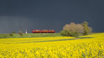 VT 798 652-4 mit 996 257 und 998 896-5 kurz vor dem Gewittereinbruch vor der Ortschaft Hoßkirch.