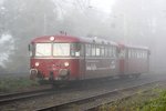 Schienenbus Ruhrtalbahn 798 796 VT98 im Nebel in Bochum Dahlhausen, am 29.10.2016.