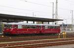 24.4.2018 2 Ferkeltaxen in Eberswalde Hbf.