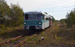 Auf dem Weg nach Ferropolis passieren die beiden Ferkeltaxen 772 312 und 972 771 am 15.09.19 die Nebenbahn in Gräfenhainichen.