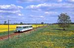 972 742 + 772 142, Kränzlin, 02.05.1999.