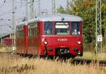 772 132-6 und 772 171-4 von Köstner Schienenbusreisen am 10.10.2021 durch Anklam