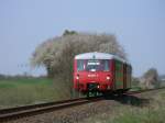 Ohne strende Fahrleitung fotografierte ich auf freier Strecke,zwischen Bergen/Rgen und Putbus,am 27.April 2011,die Ferkeltaxe 172 001/601.