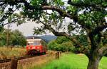 Privatbahn Frankfurt-Königstein (FKE) mit dem Esslinger VT 104 aus der zweiten Produktionsserie in der Nähe von Königstein, 22.08.1985