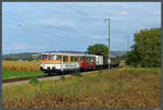 Der  Rebenbummler  mit VT 27 und 28 rollt am 30.09.2023 bei Riegel entlang des Kaiserstuhls Richtung Breisach.