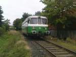 Ein VT 23 der RSE in P�tzchen