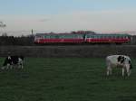 Kurz vor Einsetzen der Dmmerung unternehmen die MAN-Triebwagen VS 14 und VT 8 der SAB die letzte Sonderfahrt von Aulendorf nach Pfullendorf. Die Aufnahme entstand am 16.11.2014 bei Blnried, wenige Minuten nachdem der Schienenbus in Aulendorf abgefahren ist.