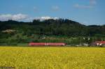 Brenzbahn-Frhling 2009 - Ein unerkannter 611er ist am Nachmittag des 19.05.09 als IRE 3232 von Ulm Hbf nach Aalen unterwegs, aufgenommen zwischen Heidenheim-Schnaitheim und Itzelberg.