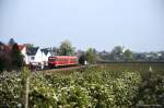 BR611 DB REGIO - NONNENHORN 12.04.2014