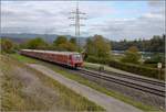 Bahn am Hochrhein. In Schwörstadt geht es für 611 012 und 014 mit 160 Sachen den Rhein entlang. Oktober 2017.