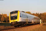 612 110-6 und 612 127-0 als RE 22340 (Ulm Hbf-Sigmaringen) bei Rottenacker 16.10.18