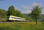612 113-0 als RE 22308 (Ulm Hbf-Sigmaringen) bei Weiler 17.5.19