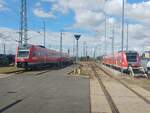 DB 612 528 und 612 630 am 30.08.2025 beim Tag der offenen Tür (100 Jahre Bw Erfurt) im DB Werk Erfurt.